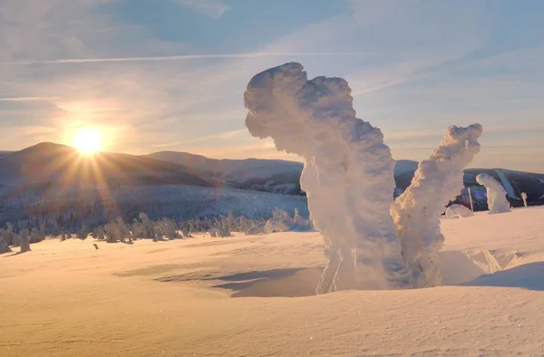 Arbres Congelés Lever Soleil Hiver — Photo