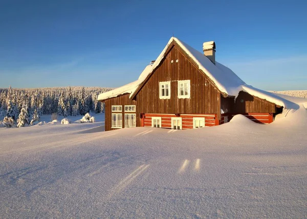 Lonely Timber Cottage Winter — Stock fotografie