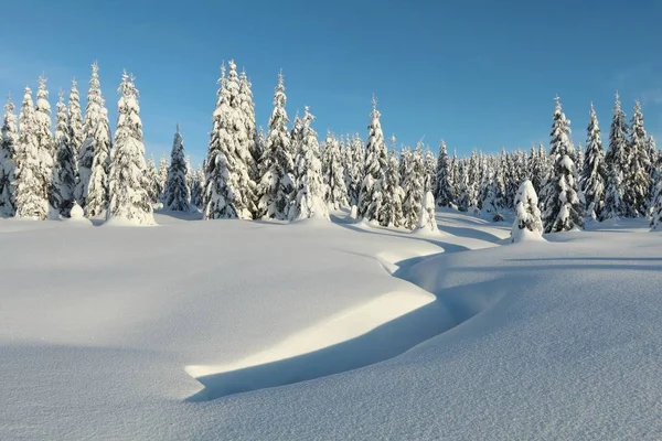 Paisaje Invernal Del Asentamiento Jizerka — Foto de Stock