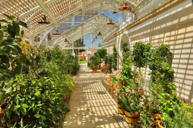 Lany kale tarafından Glasshouse iç 