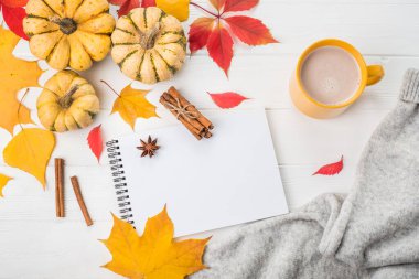 Sonbahar yatağı. Beyaz ahşap arka planda balkabakları ve sarı yapraklar. Metin için boşluk.