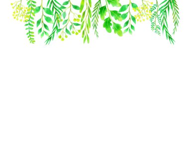 Botanik illüstrasyon çerçevesi, suluboya tarzı