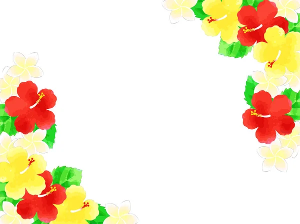 Illustration Fond Hibiscus Des Plantes Sud — Image vectorielle