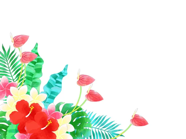 Hibisco Plantas Sul Ilustração Fundo Estilo Aquarela —  Vetores de Stock