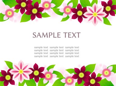 Yaz clematis çiçek illüstrasyon arka plan