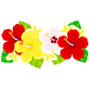 Hibiscus çiçek illüstrasyon malzeme