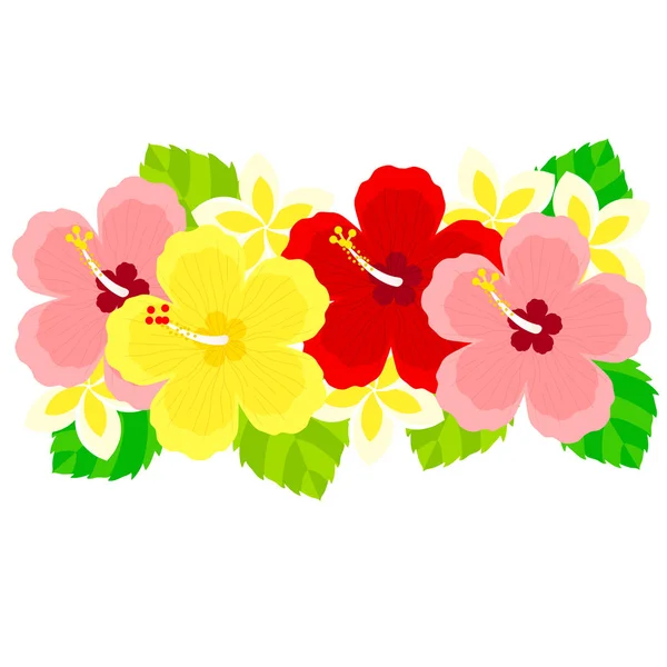 Matériel Illustration Fleurs Hibiscus — Image vectorielle