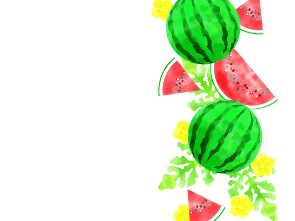 西瓜的插图背景 — 图库矢量图片