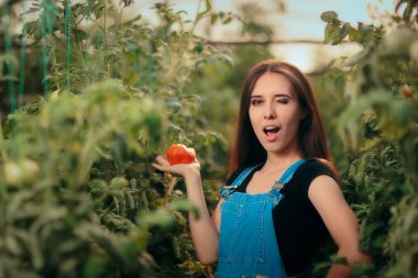 Homegrown domates tutan mutlu çiftçi kadın göz kırpıyor