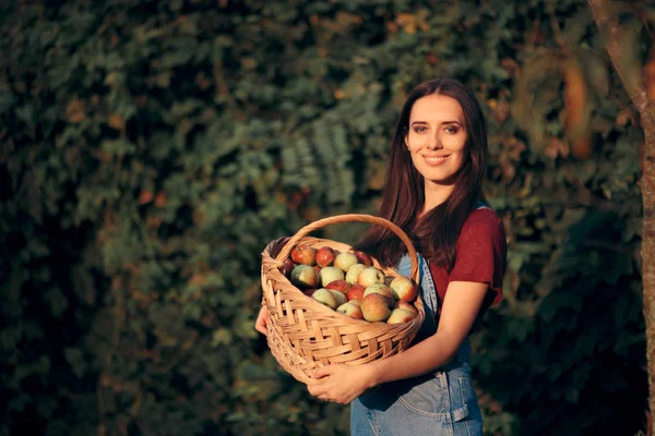 Frau Mit Korb Pflückt Äpfel Herbst — Stockfoto