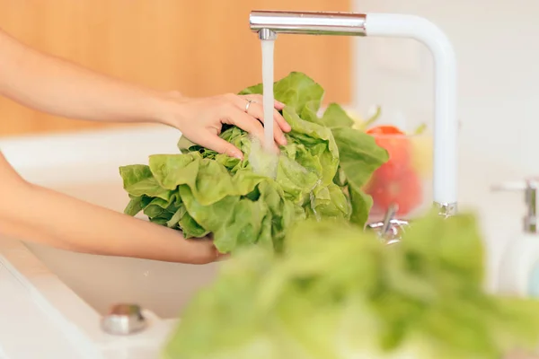 キッチンにグリーン サラダを洗う手をシンクします — ストック写真