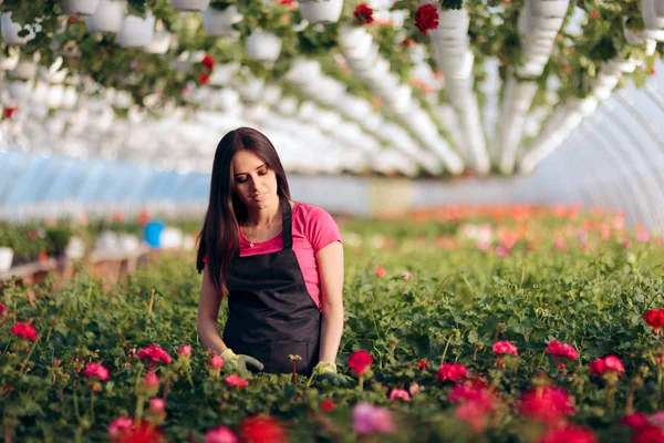 Vrouwelijke Ondernemer Bloem Broeikasgassen Werknemer — Stockfoto