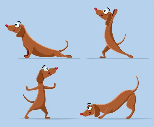 Смешная Собака Делает Векторную Карикатуру Йогу — стоковый вектор