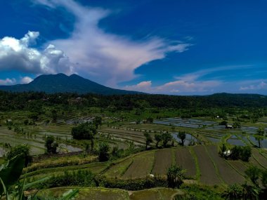 pirinç terasları, küçük bir köy ve büyük bir dağ beyaz bulutlar ve mavi gökyüzü büyüleyici bir manzara. Bali Adası'nın güzel manzara