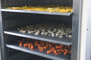 tropikal meyve sıcak hava geciktim. kurutulmuş mango, havuç, longan Paslanmaz tepsi