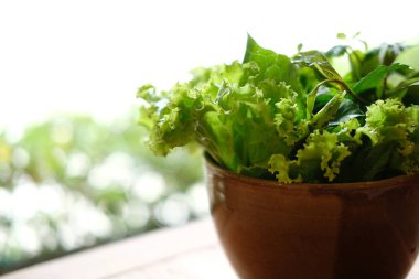 taze marul ve ham fesleğen sebze salata bir kase içinde karıştırın