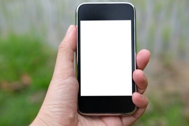 Ziraat Mühendisi çiftçi monitör nem, ph, sıcaklık pirinç çeltik alan akıllı telefon kullanarak. Akıllı tarımda sensör teknolojisi