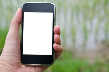 Ziraat Mühendisi çiftçi monitör nem, ph, sıcaklık pirinç çeltik alan akıllı telefon kullanarak. Akıllı tarımda sensör teknolojisi