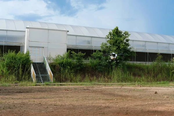 Jordbruk Drone Flying Och Sprutning Flytande Gödselmedel Eller Herbicid Jordbruksmark — Stockfoto