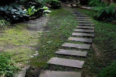 taş yolu geçit açık bahçe
