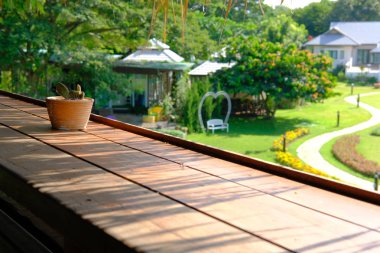 etli kaktüs bitki tencerede ahşap tablo