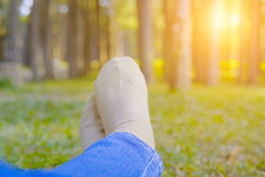 çam ağacı ormandaki yeşil çimenlerin üzerinde dinlenme yalan ayakları. bacak Park'ta rahatlatıcı kot giyiyor. etkinlik yaşam tarzı