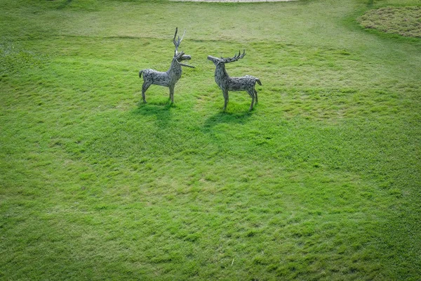 Carved Wood Deer Green Grass Garden — Stock Photo, Image