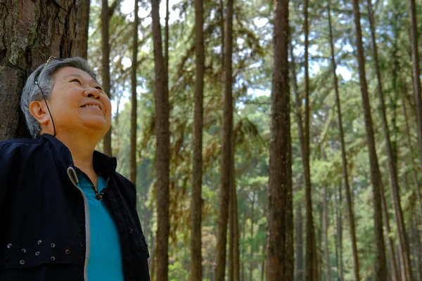 Asiatice Femeie Bătrână Odihnindu Pădurea Pin Femeia Vârstă Relaxează Parc — Fotografie, imagine de stoc
