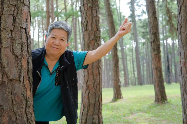 Mujer Mayor Asiática Descansando Bosque Pinos Anciana Relajándose Parque Estilo — Foto de Stock