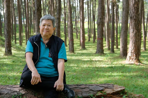 Mujer Mayor Asiática Descansando Bosque Pinos Anciana Relajándose Parque Estilo — Foto de Stock