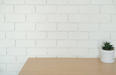 etli kaktüs bitki tencerede yakınındaki beyaz tuğla duvar ahşap Resepsiyon masasında dekorasyon