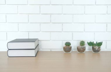 kitap yakınındaki beyaz tuğla duvar ahşap Resepsiyon masasında. Ofis İşyeri üstten görünüm. eğitim kavramı. etli kaktüs bitki tencerede