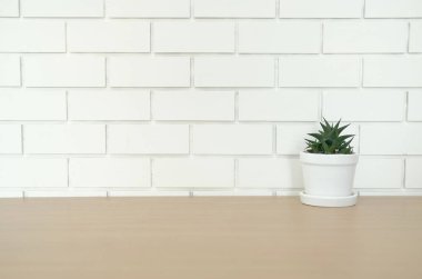etli kaktüs bitki tencerede yakınındaki beyaz tuğla duvar ahşap Resepsiyon masasında dekorasyon
