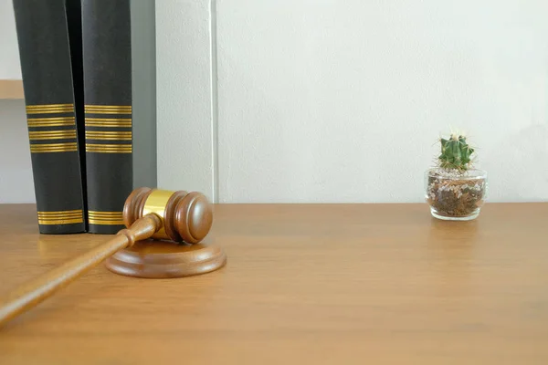 legal law book & judge gavel near white brick wall. lawyer attorney justice workplace. succulent cactus plant in pot