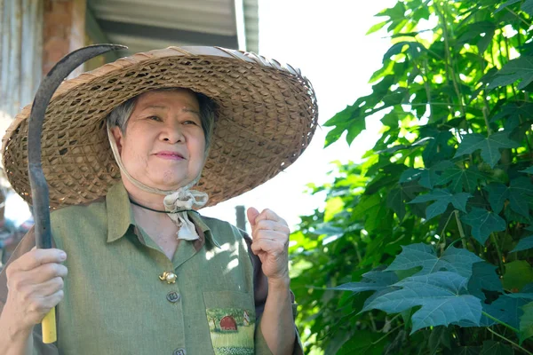 亚洲老年妇女高级园丁农民拿着镰刀钩 — 图库照片