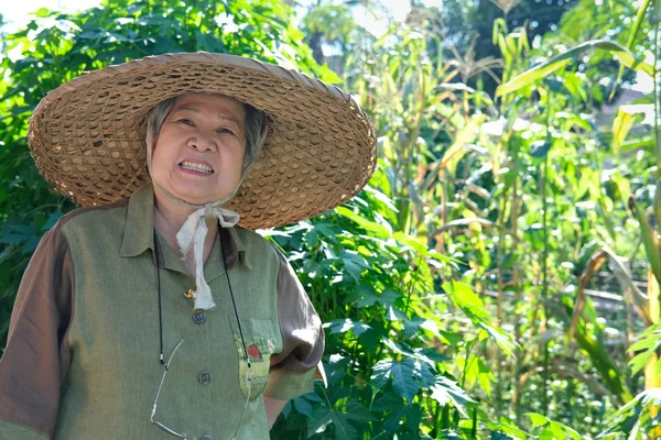 亚洲老年妇女高级园丁农民休息在花园里 — 图库照片