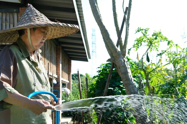 亚洲老年妇女高级园丁农民浇水植物在花园里 — 图库照片