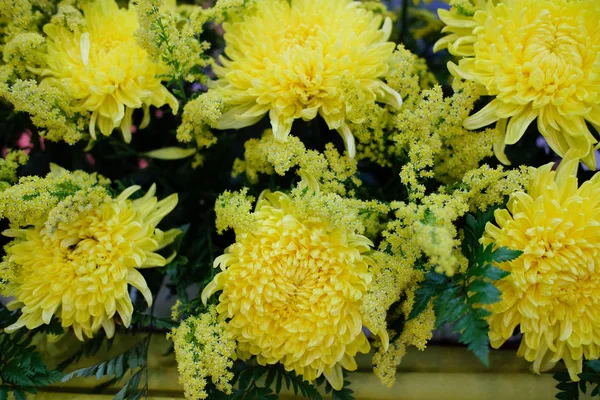 Квітка Хризантеми Квітучий Жовтий Квітковий Букет Прикраси — стокове фото