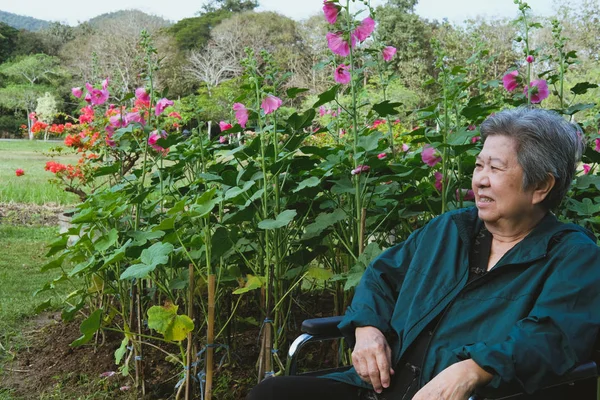 Asian Elder Woman Wheelchair Resting Garden Elderly Female Relaxing Park — Stock Photo, Image