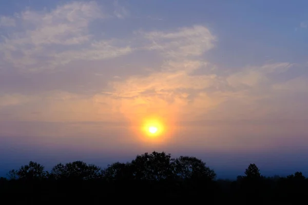 Crépuscule Ciel Coucher Soleil Avec Silhouette Forêt Arbres — Photo