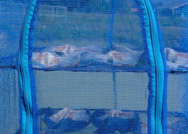 Filetto Tilapia Essiccato Essiccazione Del Pesce Alla Luce Del Sole — Foto Stock