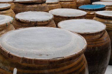 soya fasulyesi yapıştırın kavanoza tuzlu. soya miso üretim