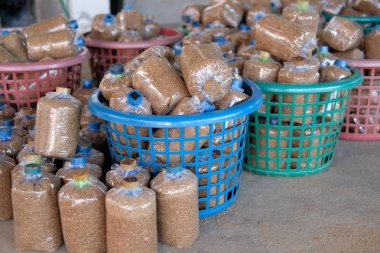 gruptaki yenilebilir mantar yetiştirme için çanta içinde yapay substrat