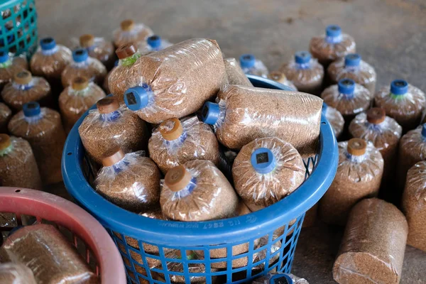 Substrat artificiel en sac pour la culture de champignons à la ferme — Photo