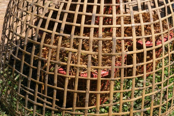 Cogumelo palha crescendo em cesta na fazenda — Fotografia de Stock