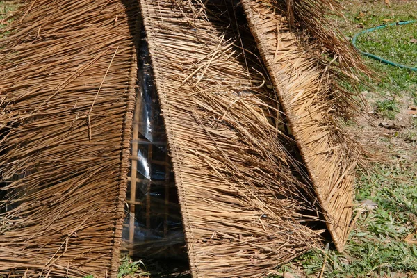 Cogumelo palha crescendo na fazenda — Fotografia de Stock