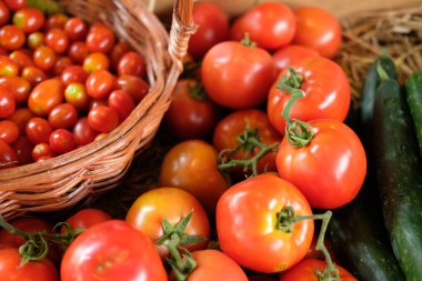 Ahşap kutusunda domates. tarladan taze sebze