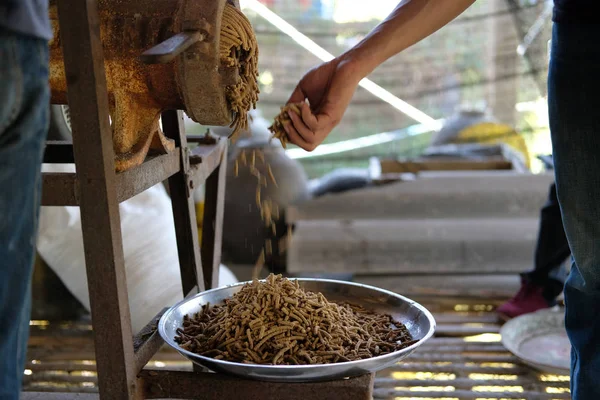 Állatok Etetéséhez Takarmány Pellet Gyártó Gép Takarmány Előállítás — Stock Fotó