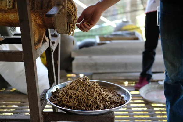 hayvan beslemek için yem Pelet üretimi için makine. Yem Üretimi