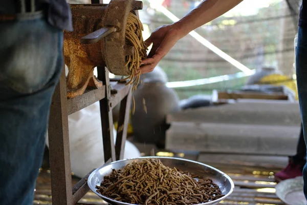 Machine Producing Fodder Pellet Feeding Animal Feed Production — Stock Photo, Image